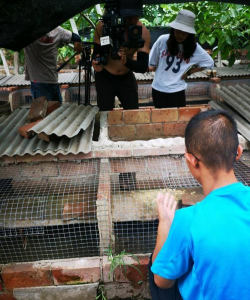 陕西麝香养殖基地,了解养殖条件,掌握市场前景 陕西麝香养殖基地,了解养殖条件,掌握市场前景
