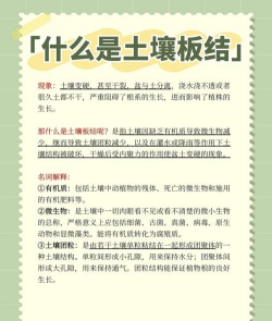 养花土板结,原因要搞清,解决有妙招 养花土板结,原因要搞清,解决有妙招