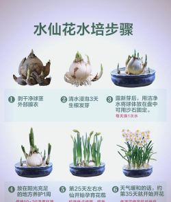 养花潮湿,解决积水问题,保持根部健康 养花潮湿,解决积水问题,保持根部健康