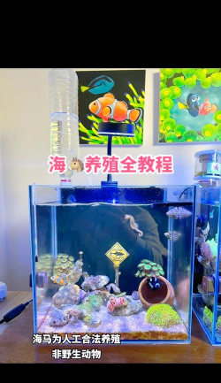 海马有养殖的吗,养殖技术要点,市场前景分析 海马有养殖的吗,养殖技术要点,市场前景分析