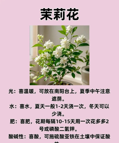 天津养花,气候特点,种植技巧 天津养花,气候特点,种植技巧