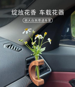 车载养花器,提升车内氛围,轻松养护植物 车载养花器,提升车内氛围,轻松养护植物