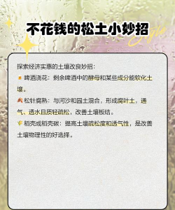 木碳养花,改善土壤环境,提升植物生长活力 木碳养花,改善土壤环境,提升植物生长活力