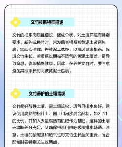 养花盆底,排水透气,根系健康 养花盆底,排水透气,根系健康