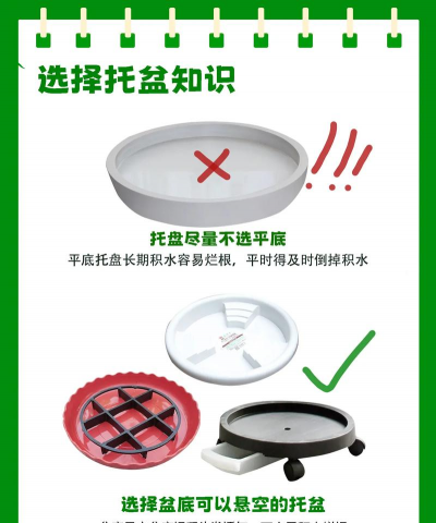 养花的旧土,如何重复利用,避免浪费资源 养花的旧土,如何重复利用,避免浪费资源