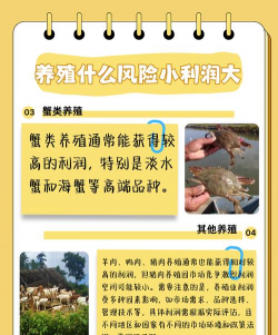 养殖什么成本低利润高,常见选择分析,帮你快速判断 养殖什么成本低利润高,常见选择分析,帮你快速判断