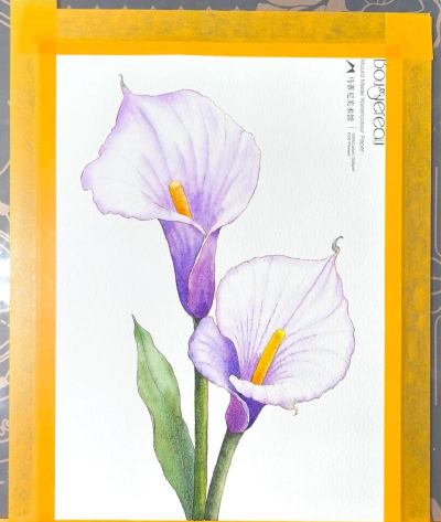 水彩花卉写生,捕捉自然之美,掌握基础技法 水彩花卉写生,捕捉自然之美,掌握基础技法