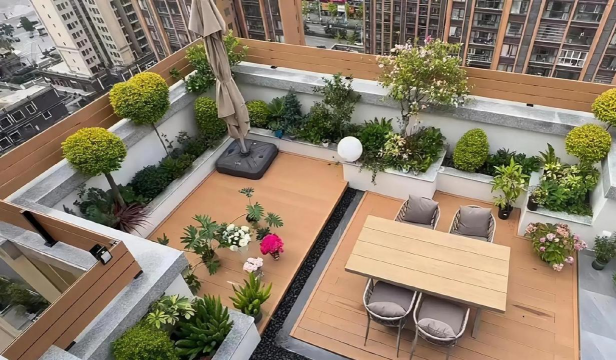 顶楼养花,空间利用,环境适应 顶楼养花,空间利用,环境适应