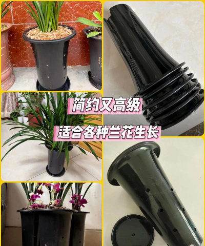 养花水盆,选对材质,注意排水 养花水盆,选对材质,注意排水