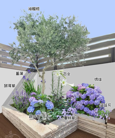 模仿养花,掌握基本技巧,轻松打造美丽花园 模仿养花,掌握基本技巧,轻松打造美丽花园