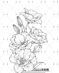 花卉线稿素材,免费下载渠道,提升绘画效率 花卉线稿素材,免费下载渠道,提升绘画效率