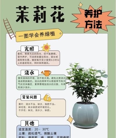 如何养花草,新手入门指南,轻松打造小花园 如何养花草,新手入门指南,轻松打造小花园