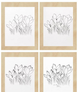 花卉铅笔画,简单入门技巧,轻松画出美丽花朵 花卉铅笔画,简单入门技巧,轻松画出美丽花朵