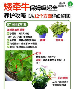 认识花卉,从入门到精通,轻松掌握养护技巧 认识花卉,从入门到精通,轻松掌握养护技巧