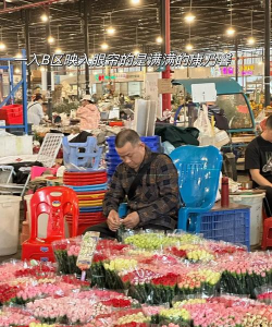 广州花卉批发,货源渠道,价格优势 广州花卉批发,货源渠道,价格优势