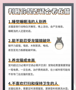 养殖龙猫赚钱吗,市场前景如何,投入产出比分析 养殖龙猫赚钱吗,市场前景如何,投入产出比分析
