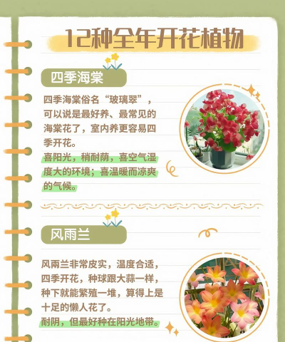 家养花卉名称,常见品种推荐,新手入门指南 家养花卉名称,常见品种推荐,新手入门指南