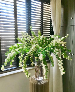 水晶球养花,轻松上手,美化家居 水晶球养花,轻松上手,美化家居