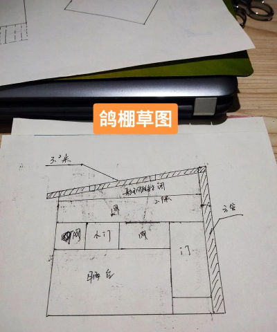 肉鸽养殖大棚设计图,规划要点,实用参考 肉鸽养殖大棚设计图,规划要点,实用参考