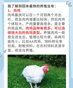 农村养殖什么不愁销路,三大方向,一个核心 农村养殖什么不愁销路,三大方向,一个核心