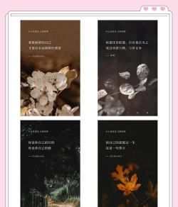 养花的女人经典语句,品味生活之美,感悟人生哲理 养花的女人经典语句,品味生活之美,感悟人生哲理