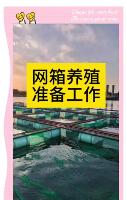 鳝鱼网箱养殖技术,掌握关键要点,提升养殖效益 鳝鱼网箱养殖技术,掌握关键要点,提升养殖效益