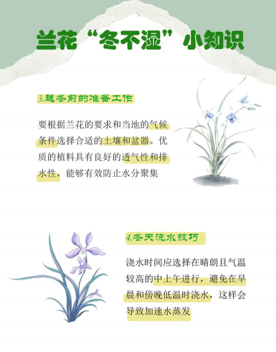 养花看养花,新手入门指南,轻松掌握技巧 养花看养花,新手入门指南,轻松掌握技巧