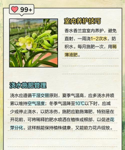 浓香花卉,选择技巧,养护要点 浓香花卉,选择技巧,养护要点