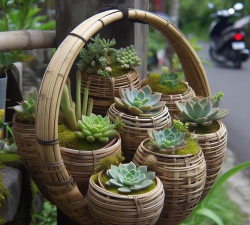 竹篮养花,创意种植,轻松美化家居 竹篮养花,创意种植,轻松美化家居