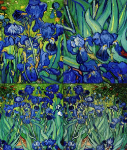 梵高花卉,艺术魅力,家居装饰选择 梵高花卉,艺术魅力,家居装饰选择