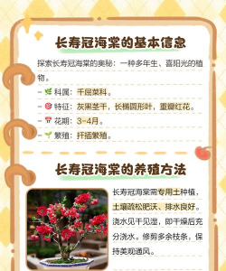 长寿海棠花的养殖方法,轻松上手,花开不断 长寿海棠花的养殖方法,轻松上手,花开不断