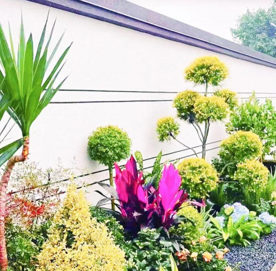 养花设计图,打造专属花园,提升生活美感 养花设计图,打造专属花园,提升生活美感