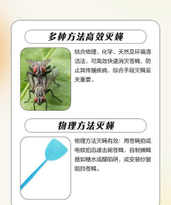 养殖场怎样灭苍蝇,减少虫害困扰,提升环境卫生 养殖场怎样灭苍蝇,减少虫害困扰,提升环境卫生