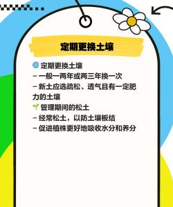 马粪养花,改善土壤,促进生长 马粪养花,改善土壤,促进生长