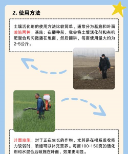 马粪养花,提升土壤肥力,促进植物生长 马粪养花,提升土壤肥力,促进植物生长