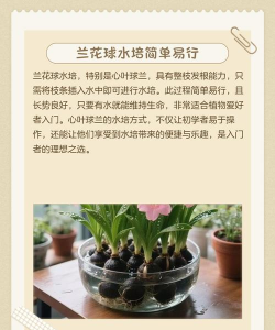 养花水质,关键影响,改善方法 养花水质,关键影响,改善方法