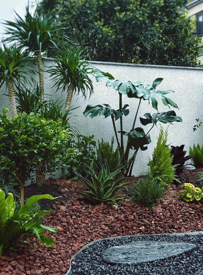 御花园养花,打造私家花园,提升生活品质 御花园养花,打造私家花园,提升生活品质