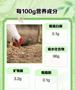 沙半鸡养殖技术,掌握关键要点,实现高效养殖 沙半鸡养殖技术,掌握关键要点,实现高效养殖