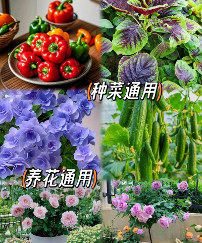 养花山土,选对用好,植物更健康 养花山土,选对用好,植物更健康