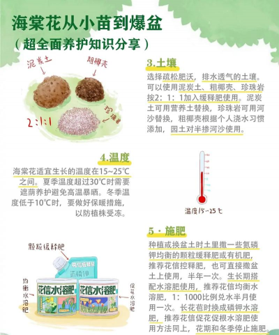 养花旺的人,养花技巧分享,养花经验总结 养花旺的人,养花技巧分享,养花经验总结