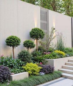 乔木花卉,美化庭院,提升生活品质 乔木花卉,美化庭院,提升生活品质