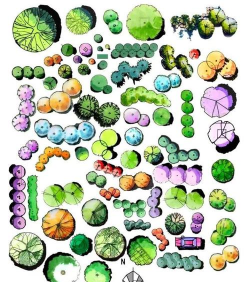 花卉平面图,设计要点,布局技巧 花卉平面图,设计要点,布局技巧