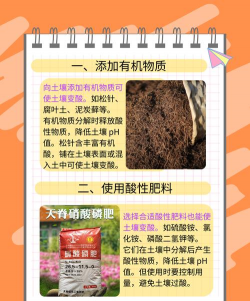 酸性养花土,改善土壤酸碱度,促进植物健康生长 酸性养花土,改善土壤酸碱度,促进植物健康生长