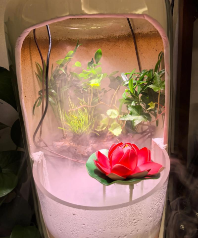 鱼缸养花,创意玩法,轻松上手 鱼缸养花,创意玩法,轻松上手