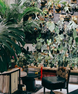 养花的花房,打造理想空间,提升种植乐趣 养花的花房,打造理想空间,提升种植乐趣