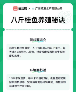 桂花鱼养殖技术及成本,掌握关键方法,实现高效收益 桂花鱼养殖技术及成本,掌握关键方法,实现高效收益