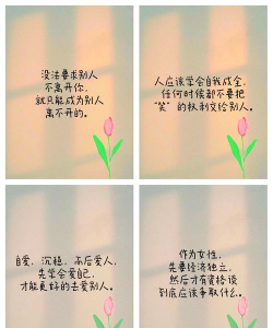 养花一句话经典感悟,分享生活智慧,传递美好心情 养花一句话经典感悟,分享生活智慧,传递美好心情