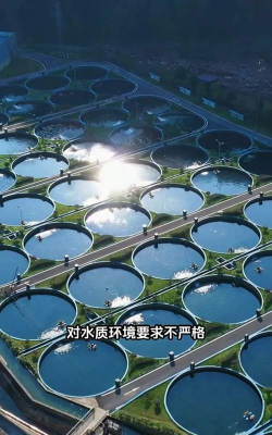 高密度水产养殖新技术,提升养殖效率,降低养殖风险 高密度水产养殖新技术,提升养殖效率,降低养殖风险