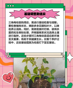 儿童养花,培养耐心,亲近自然 儿童养花,培养耐心,亲近自然