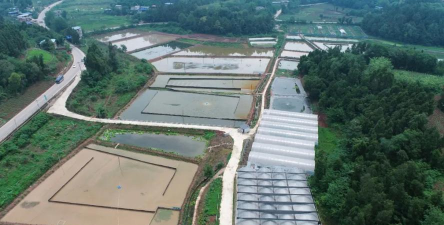 四川简阳大众养殖公司,了解养殖模式,掌握合作要点 四川简阳大众养殖公司,了解养殖模式,掌握合作要点